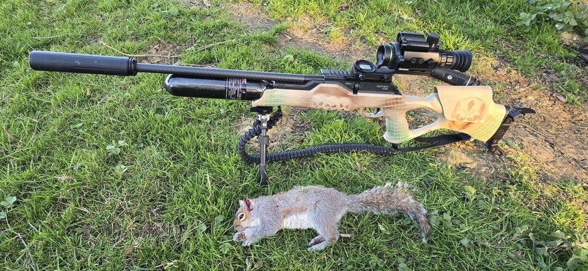 Under- dog tweet media