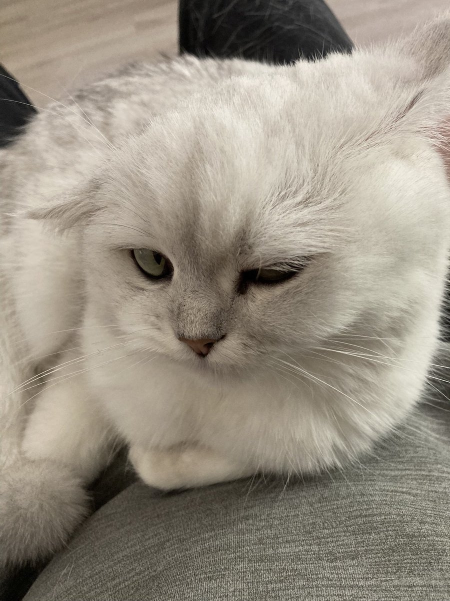 dez.ziau tweet media