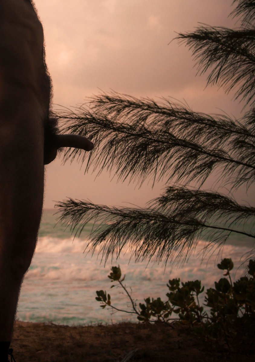 El atardecer , las olas y este bicho ❤️‍🔥

<a href="/SensualAngle/">Sensual Angle</a> 📸