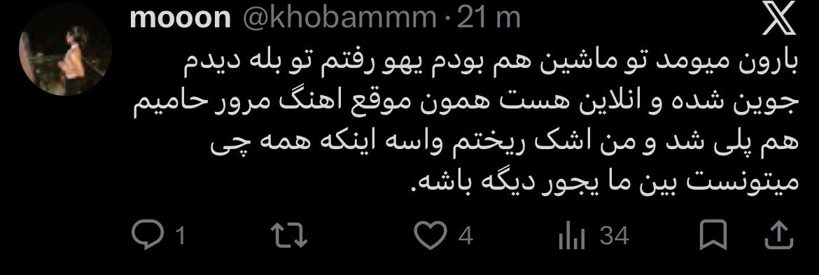 Your local Hooman tweet media