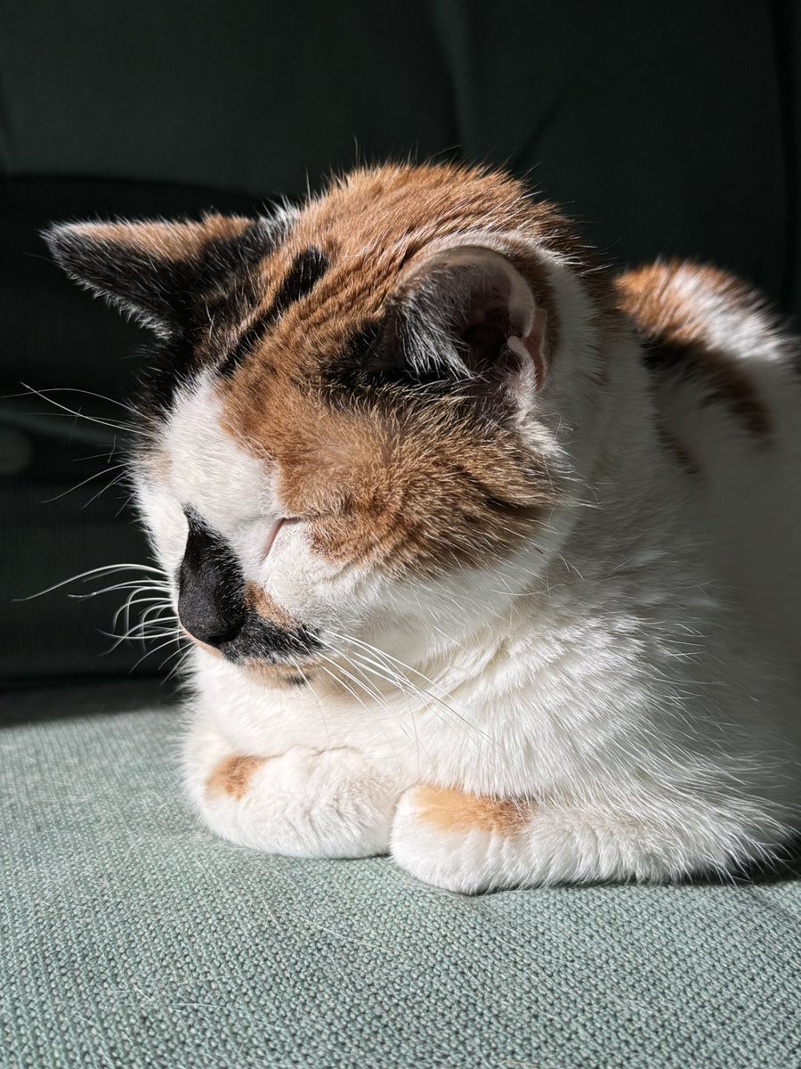 Ruth - FN10 tweet media