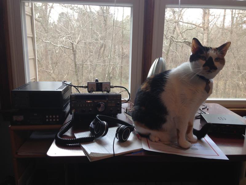 Ruth - FN10 tweet media