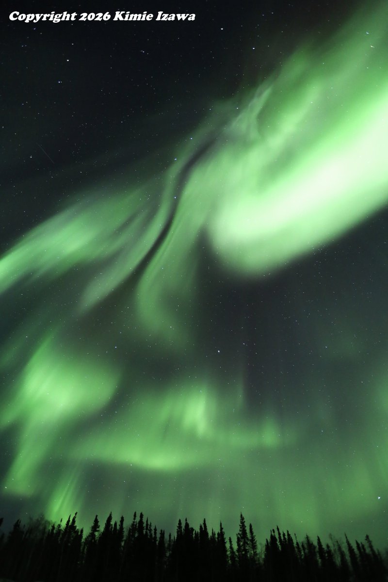 audrey19740719's tweet photo. #Aurora from #prosperouslake #Yellowknife
Apr 4-5, 2026 Sat-Sun 11:00pm-2:00am
-16℃ Clear
#NWT #ExploreNWT #SpectacularNWT #northwestterritory #northernlights
#イエローナイフ #ノースウェストテリトリー
#オーロラ #オーロラ姫 #春オーロラ https://t.co/I3cpveaH92