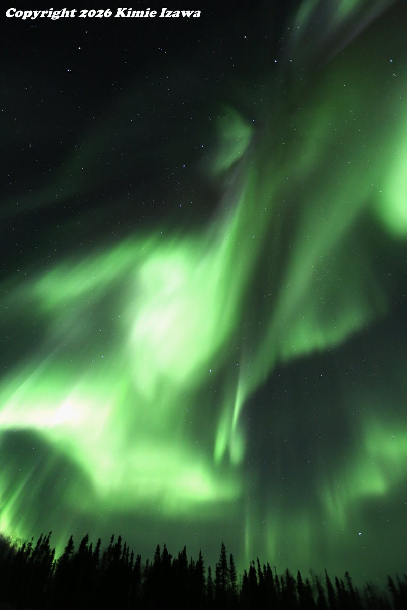 audrey19740719's tweet photo. #Aurora from #prosperouslake #Yellowknife
Apr 4-5, 2026 Sat-Sun 11:00pm-2:00am
-16℃ Clear
#NWT #ExploreNWT #SpectacularNWT #northwestterritory #northernlights
#イエローナイフ #ノースウェストテリトリー
#オーロラ #オーロラ姫 #春オーロラ https://t.co/I3cpveaH92
