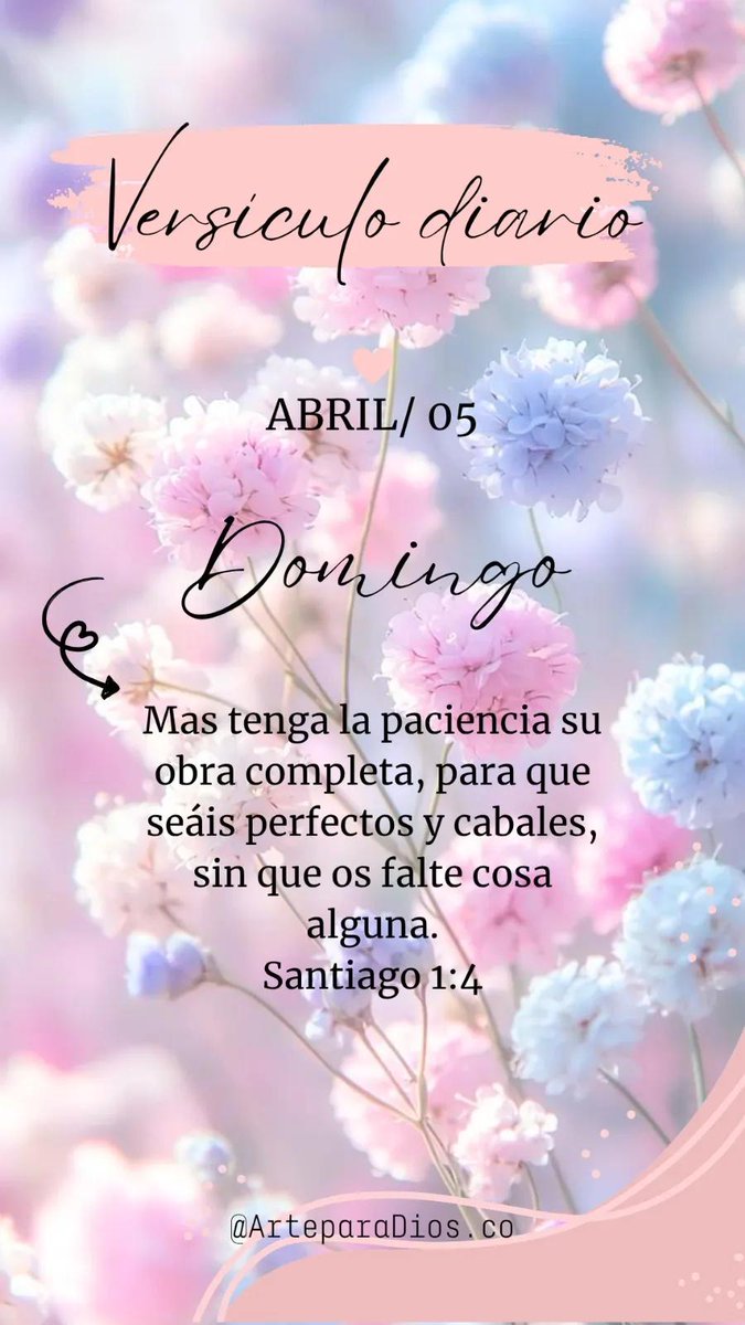 Blasko-Lavayen🇮🇱🇪🇨 tweet media