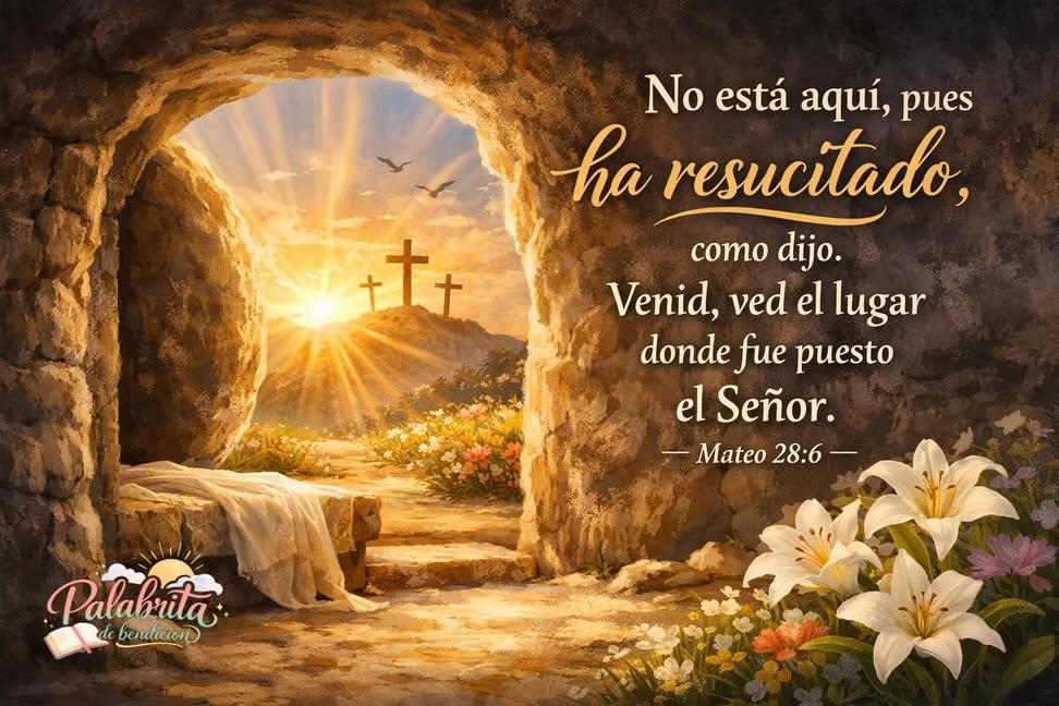 Blasko-Lavayen🇮🇱🇪🇨 tweet media