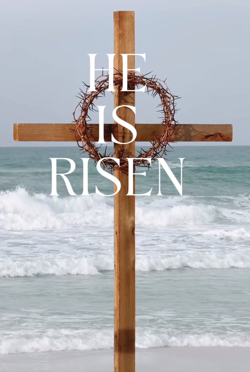 Mark Moss tweet media