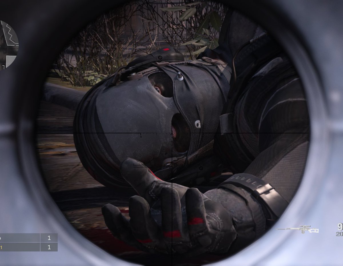 Katzen ☢️ tweet media