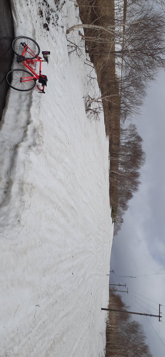 巡航 2026年走行距離45㌔ tweet media