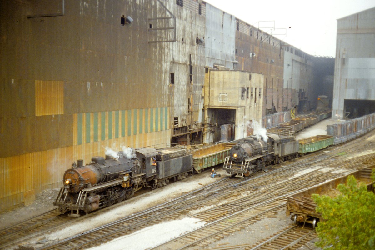 Chris 🦝 tweet media