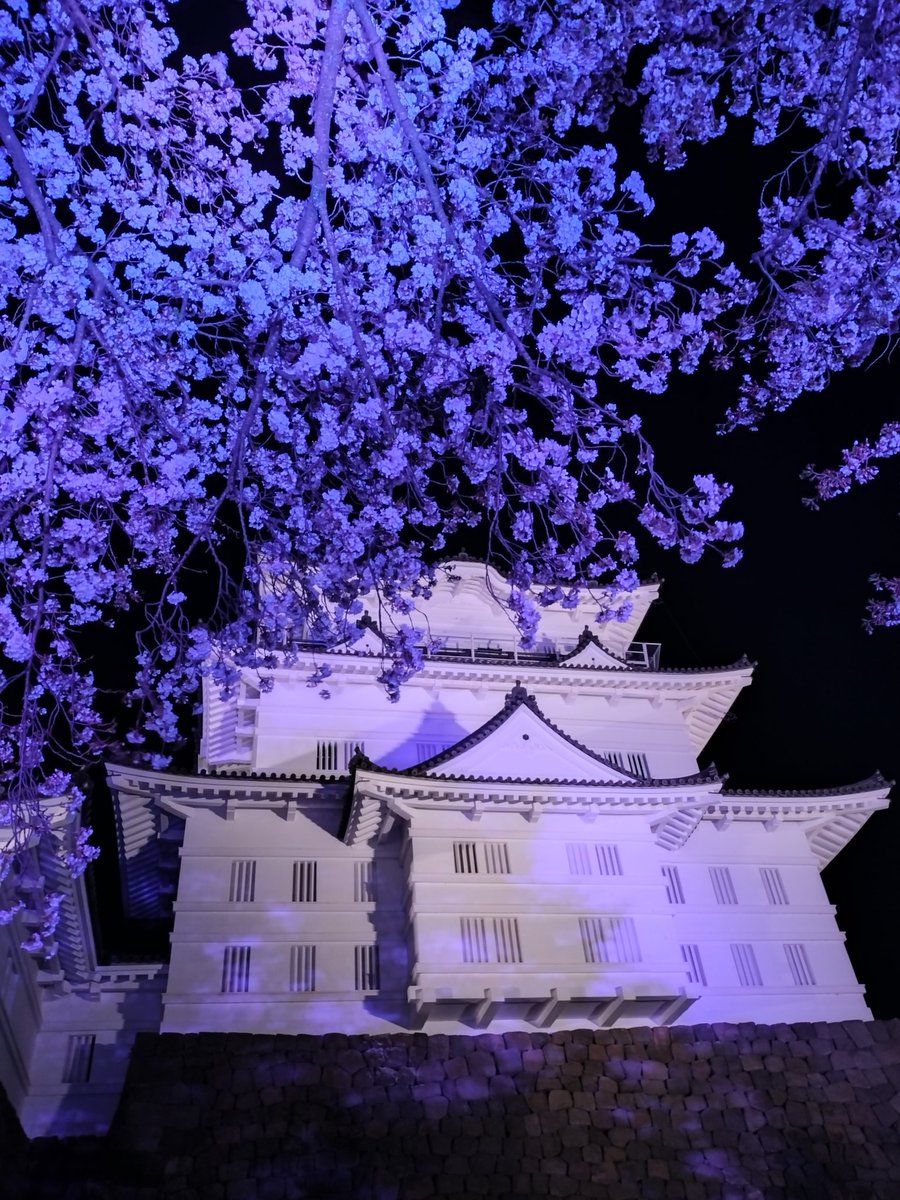 ひらまささん。 tweet media