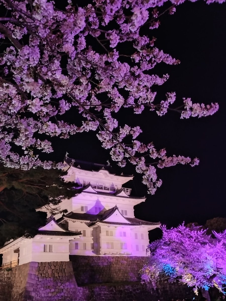 ひらまささん。 tweet media