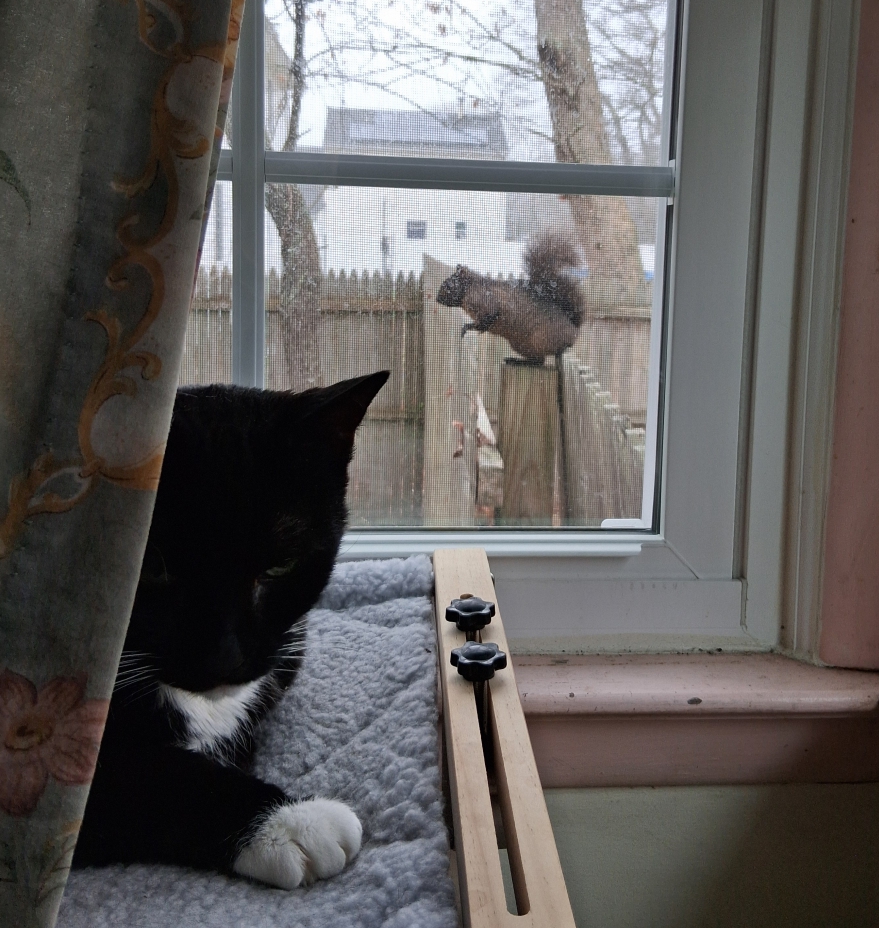 🐰 Bii 🐣 tweet media