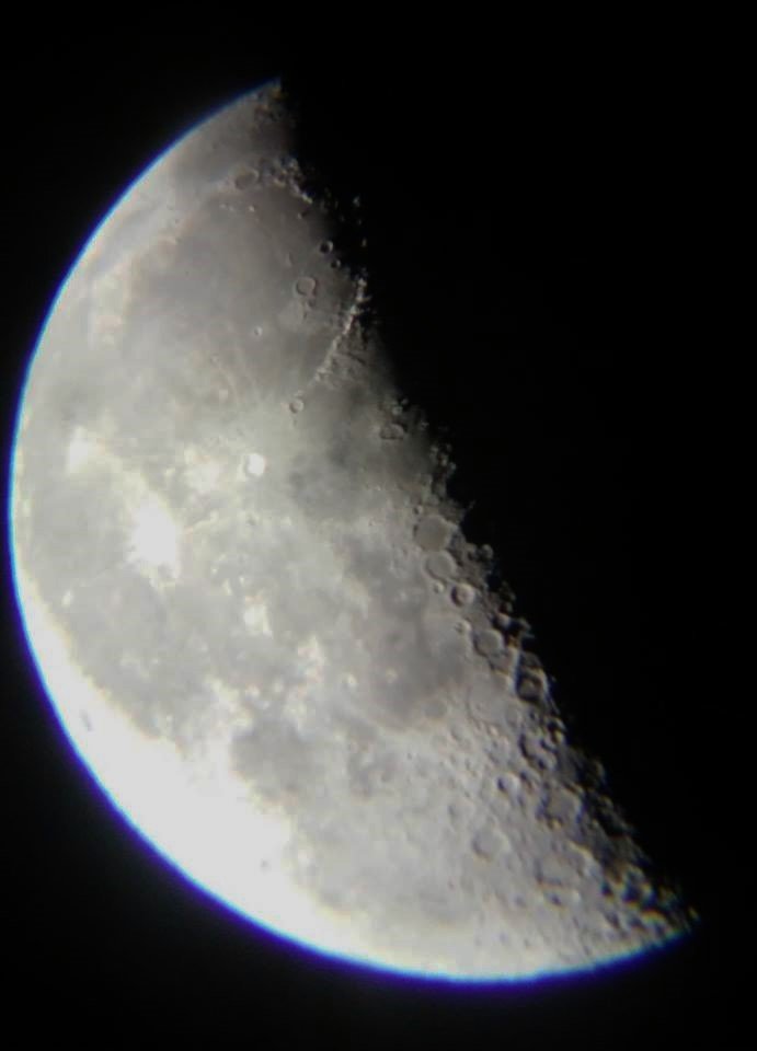 Brute Force tweet media