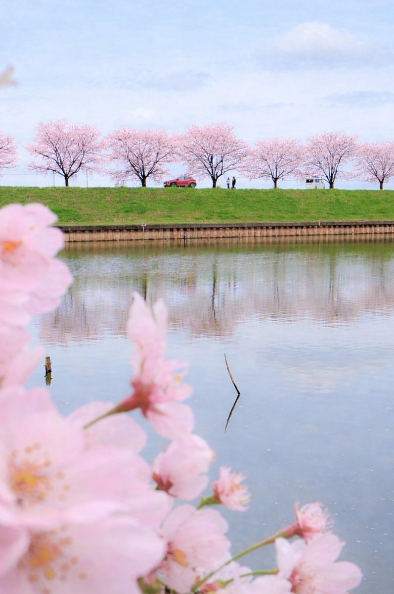 hana🌸今月もよろしくお願いします🍀ᴗ͈ˬᴗ͈)” tweet media