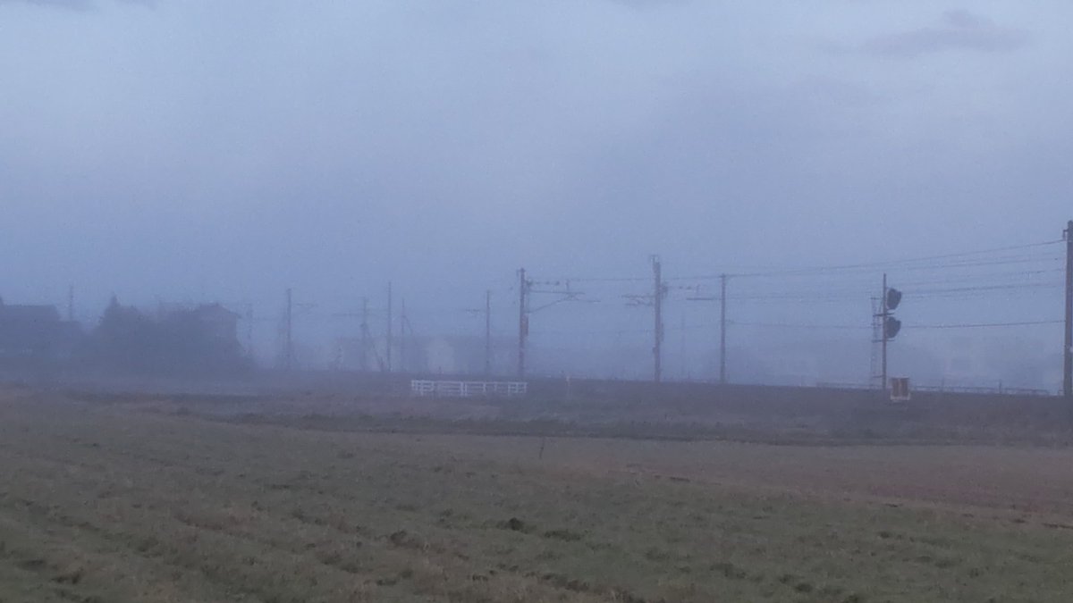 Yang-Sea tweet media