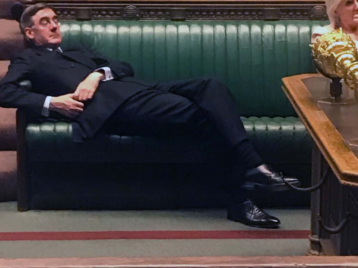 rob louis tweet media