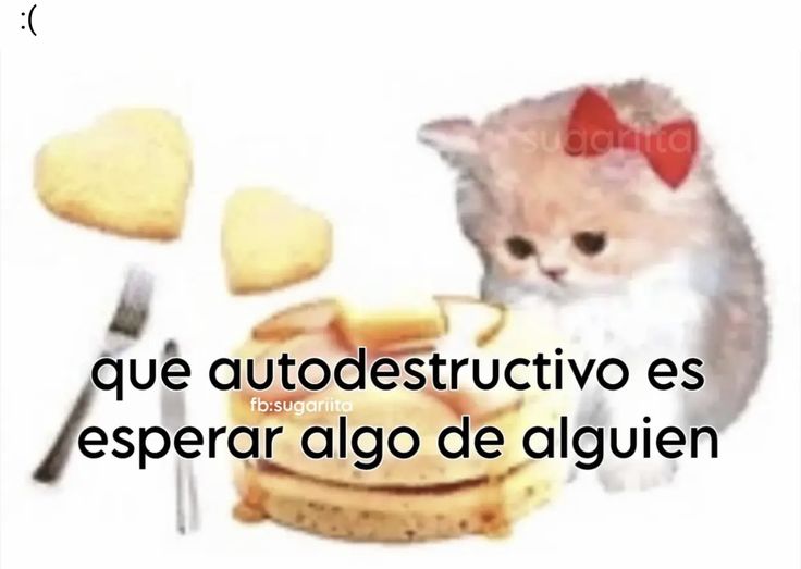 beki ⋆˚꩜｡݁ ˖Ი𐑼⋆ tweet media