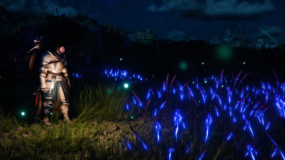 カナ@はくろう tweet media