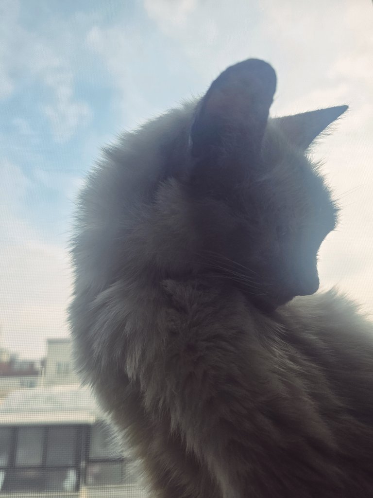 Susie Vernon C🕯 tweet media