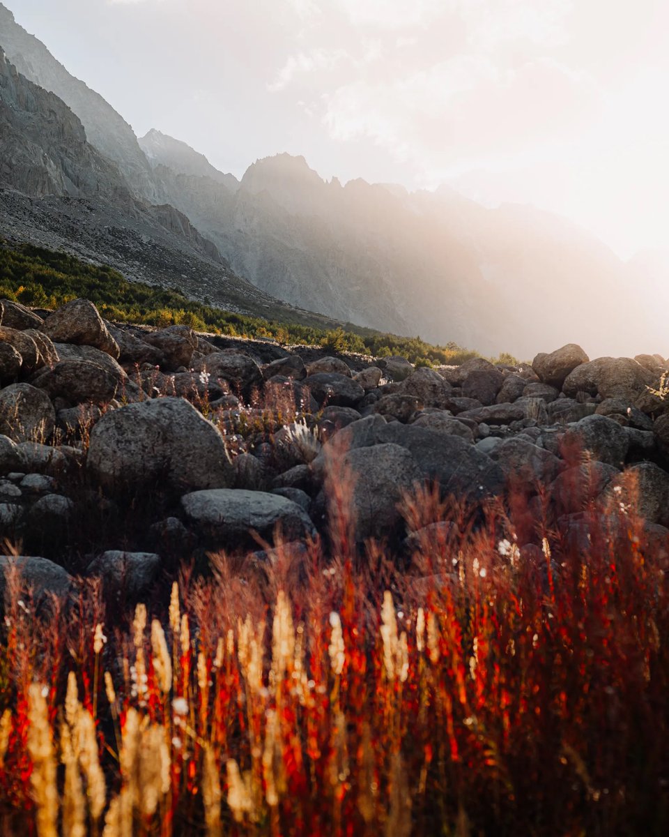 Ebtesam Ahmed tweet media