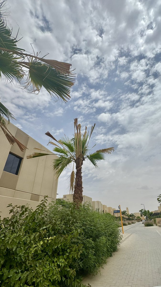 فكره لبيتك tweet media