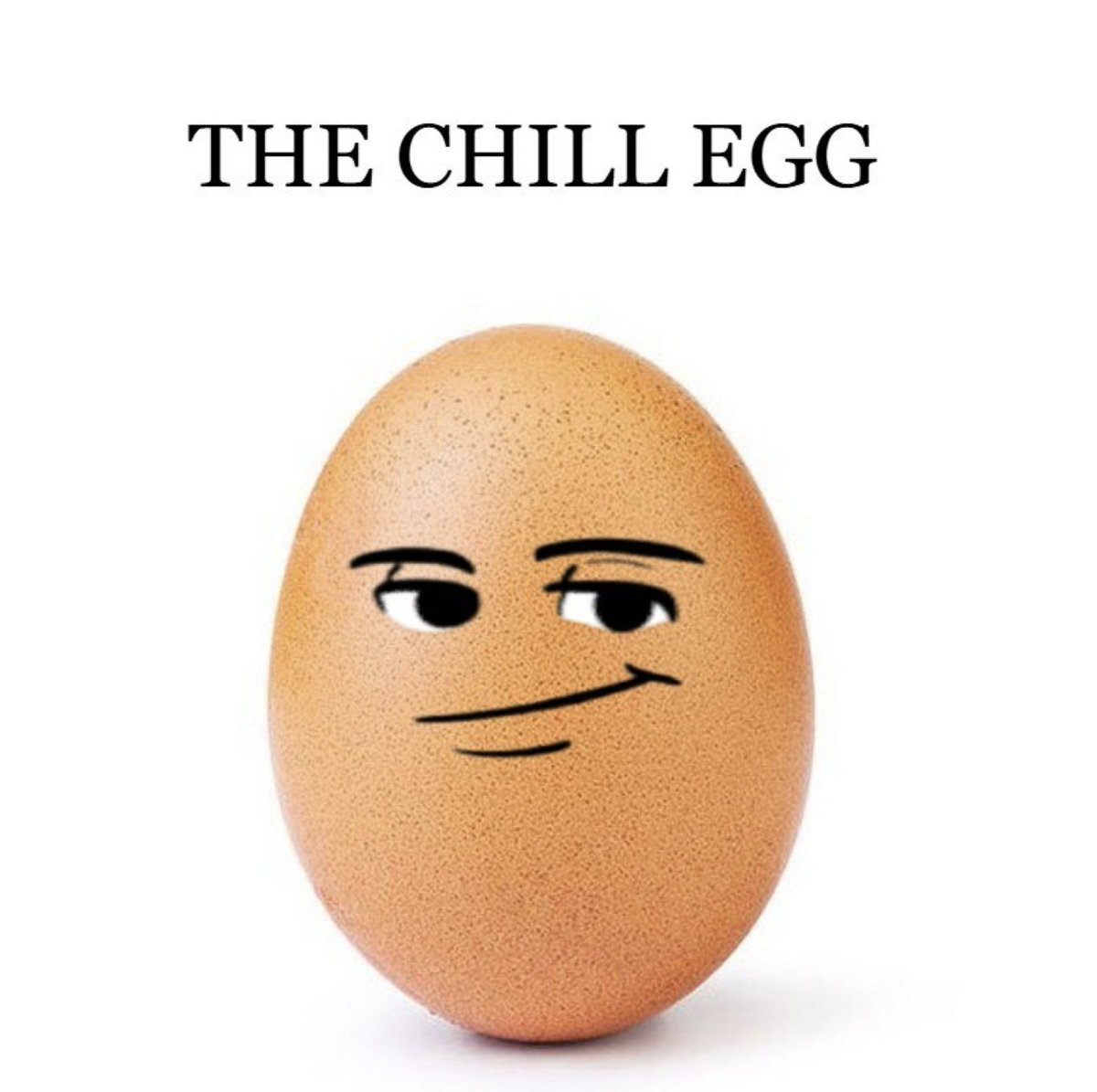 just a chill guy | fan page tweet media