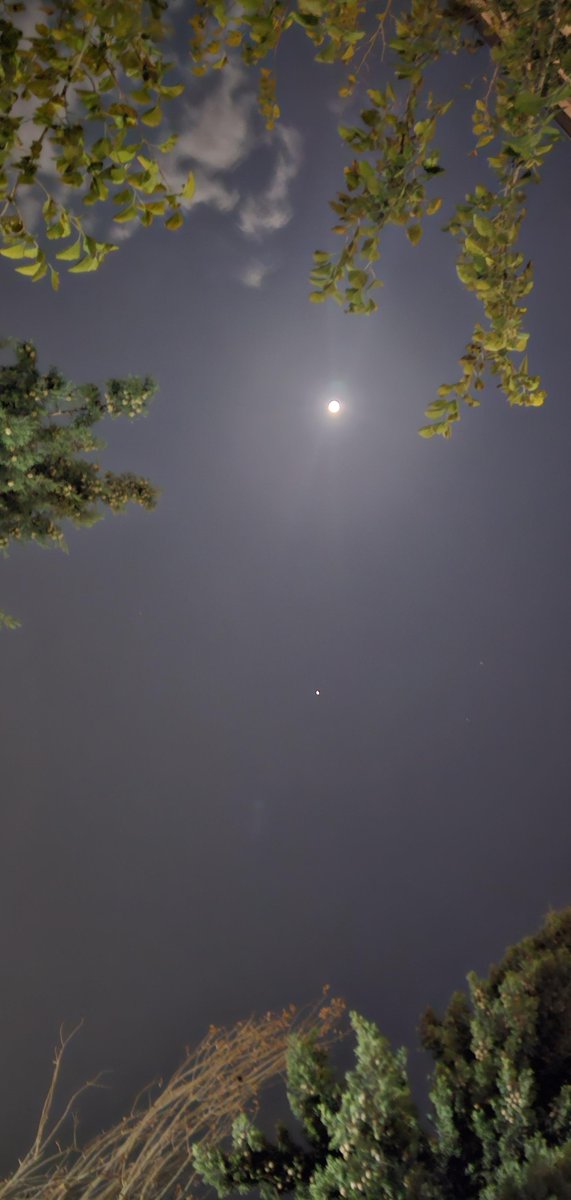 MeWhenSkull tweet media