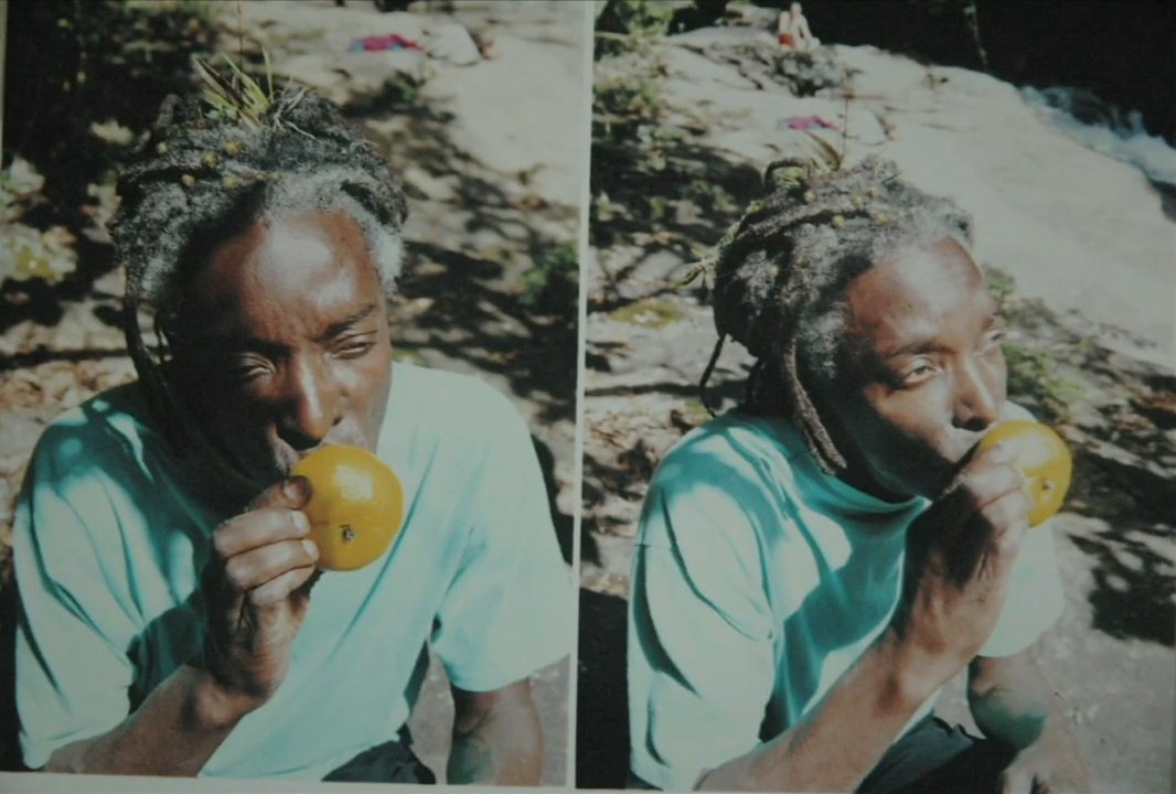 sá brina tweet media