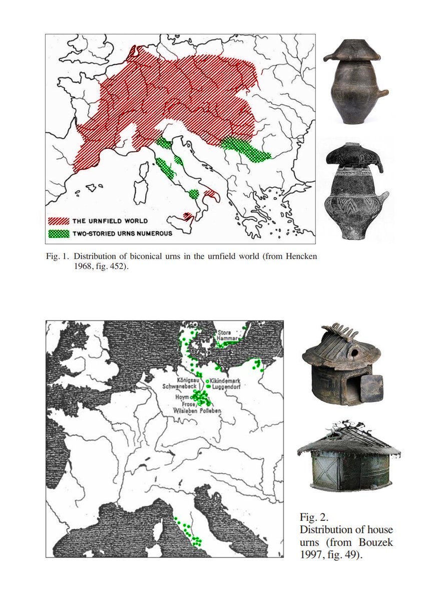 GolatanusU152 tweet media