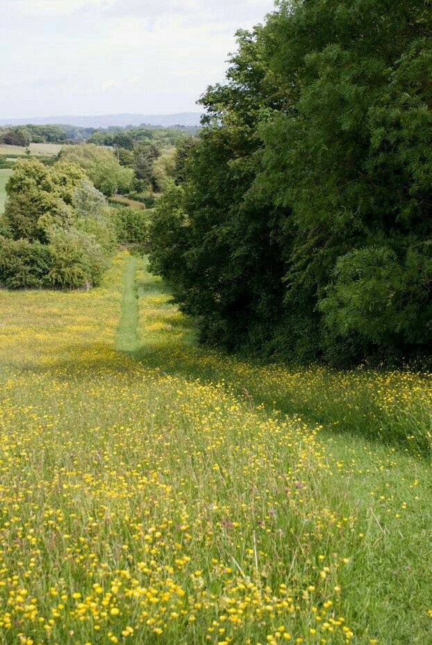 Poet's Photos tweet media