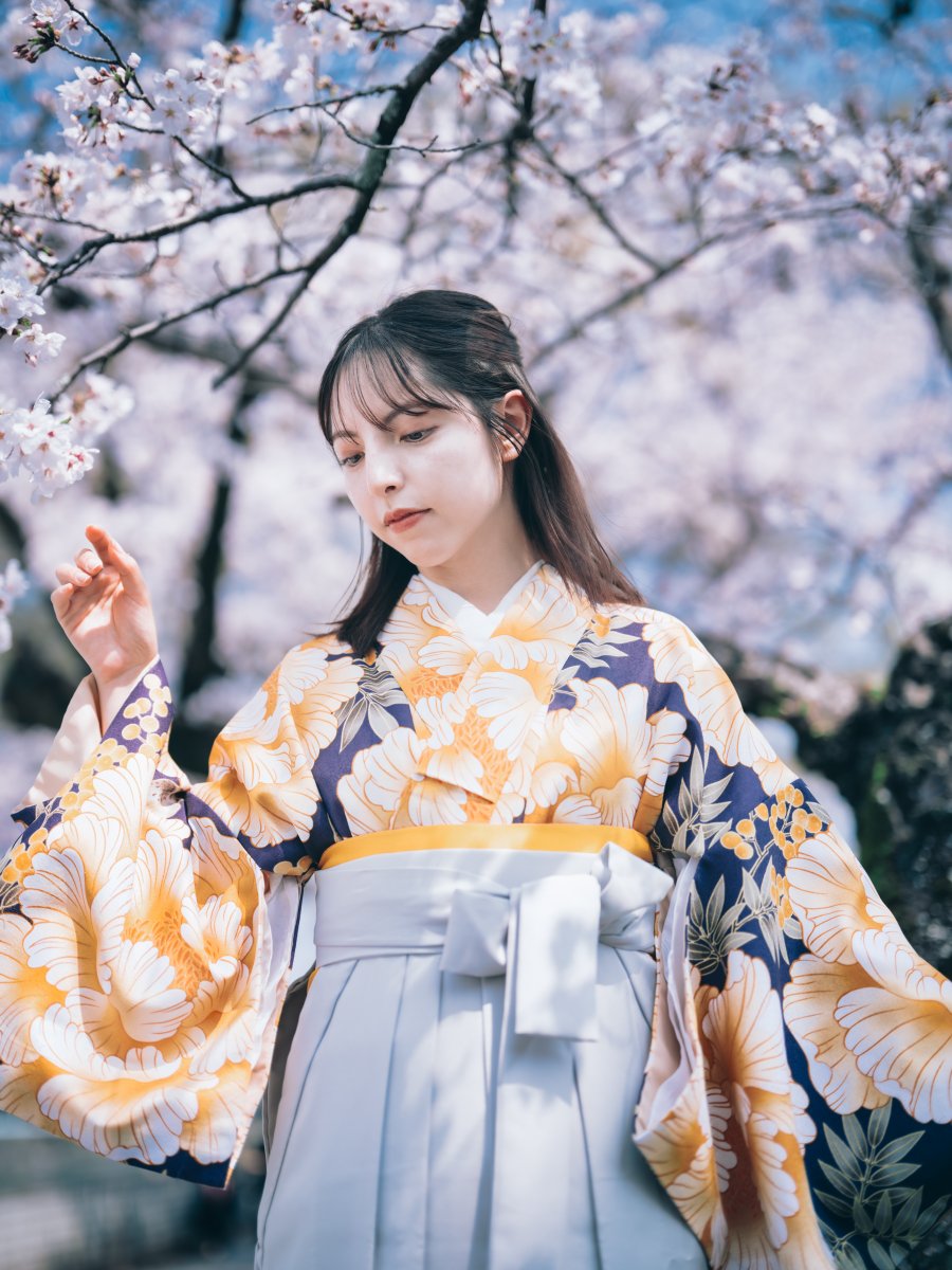 🔰teda tweet media