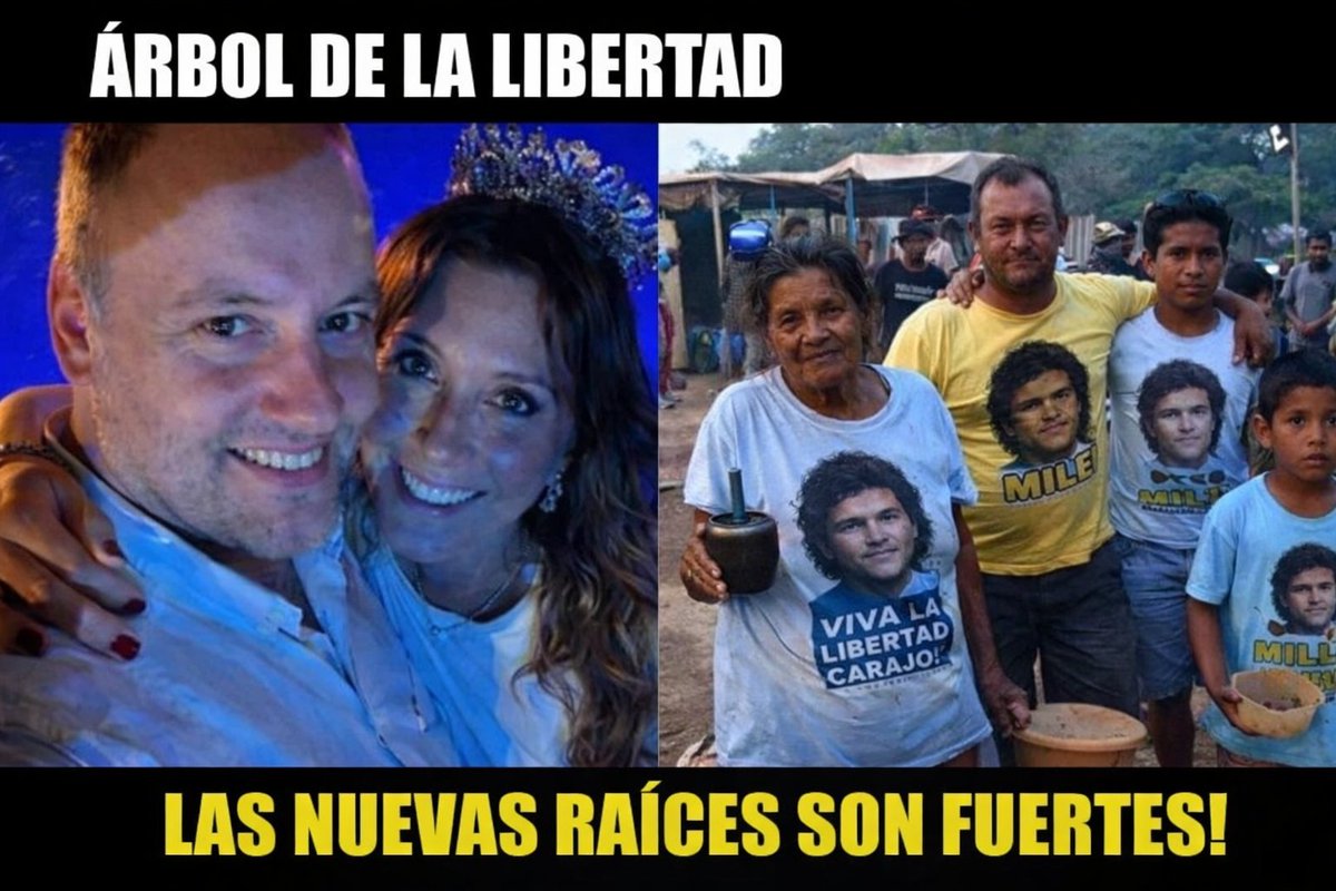 Filomena tweet media