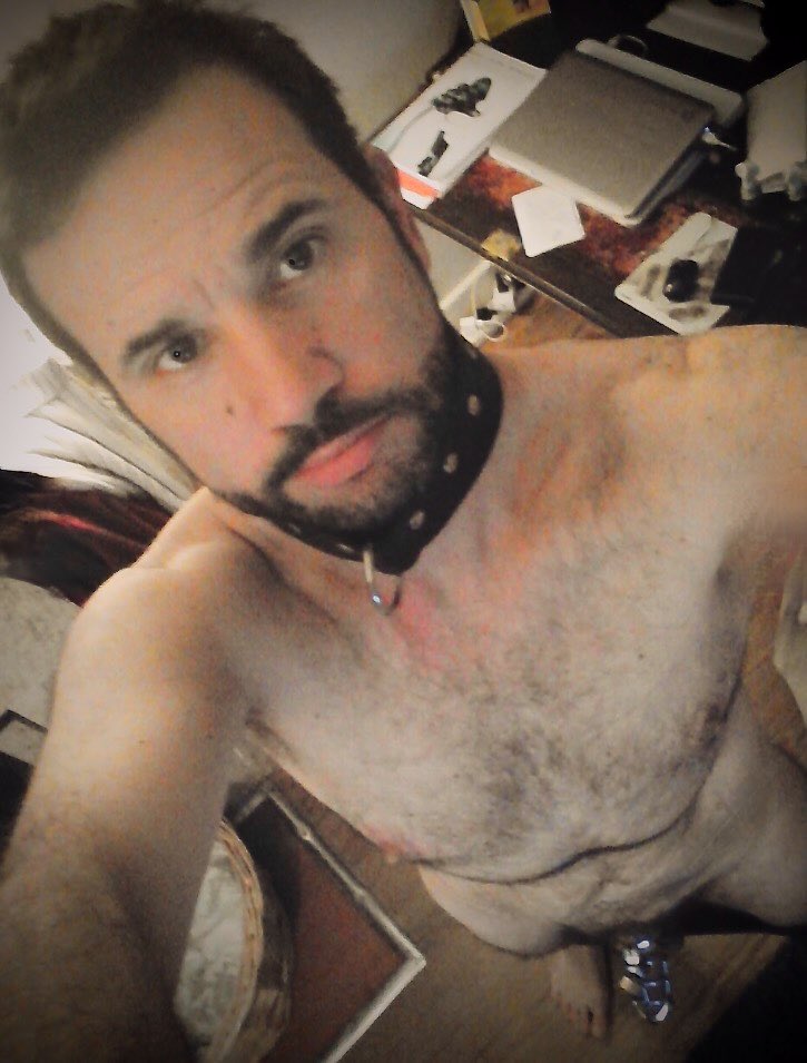 ArgosDoggo18's tweet photo. I've always wanted to have a good whore at my disposal... Taking this guy in and fucking him allowed me to completely re-educate him sexually... Putting a dog collar on him, making him my property https://t.co/Ux5k7ZoaQv