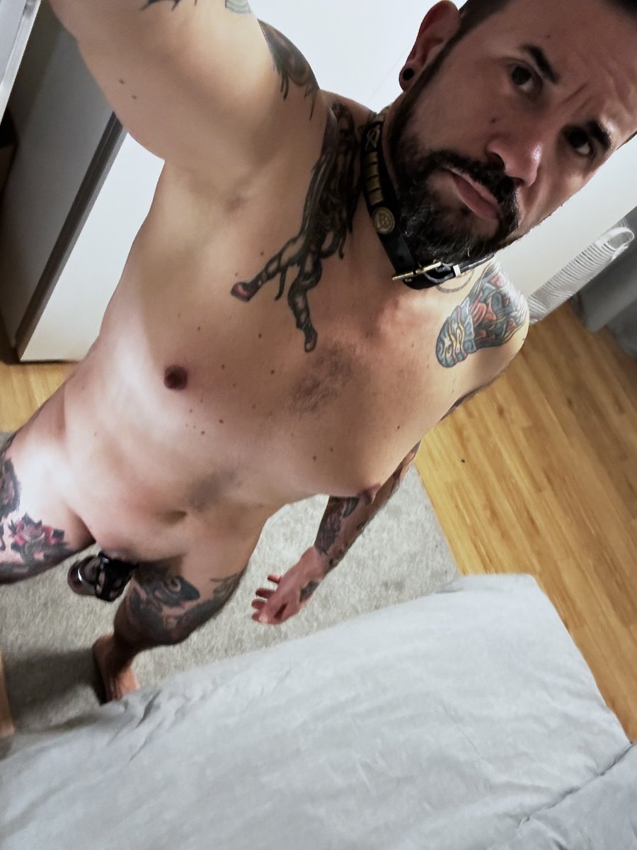 ArgosDoggo18's tweet photo. I've always wanted to have a good whore at my disposal... Taking this guy in and fucking him allowed me to completely re-educate him sexually... Putting a dog collar on him, making him my property https://t.co/Ux5k7ZoaQv