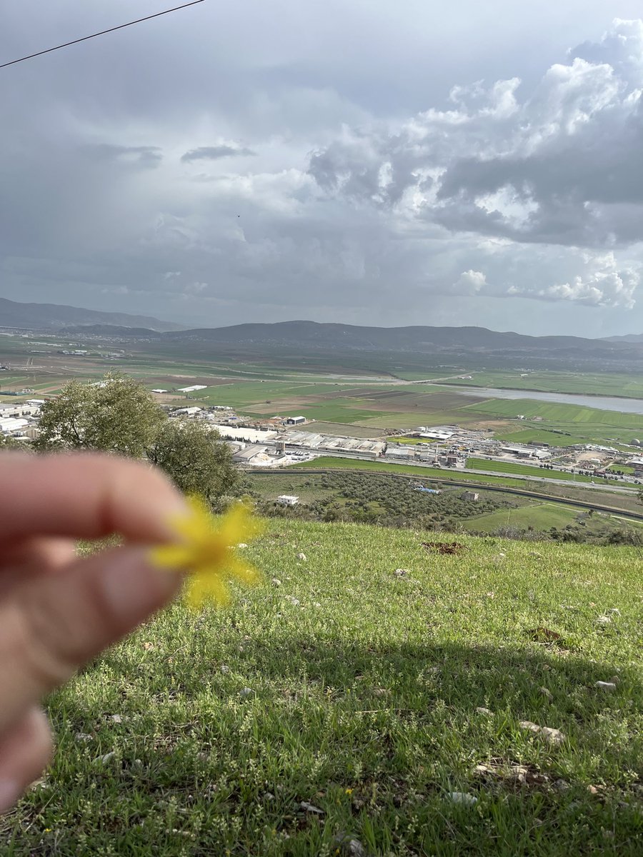 Büşra Güvenen tweet media