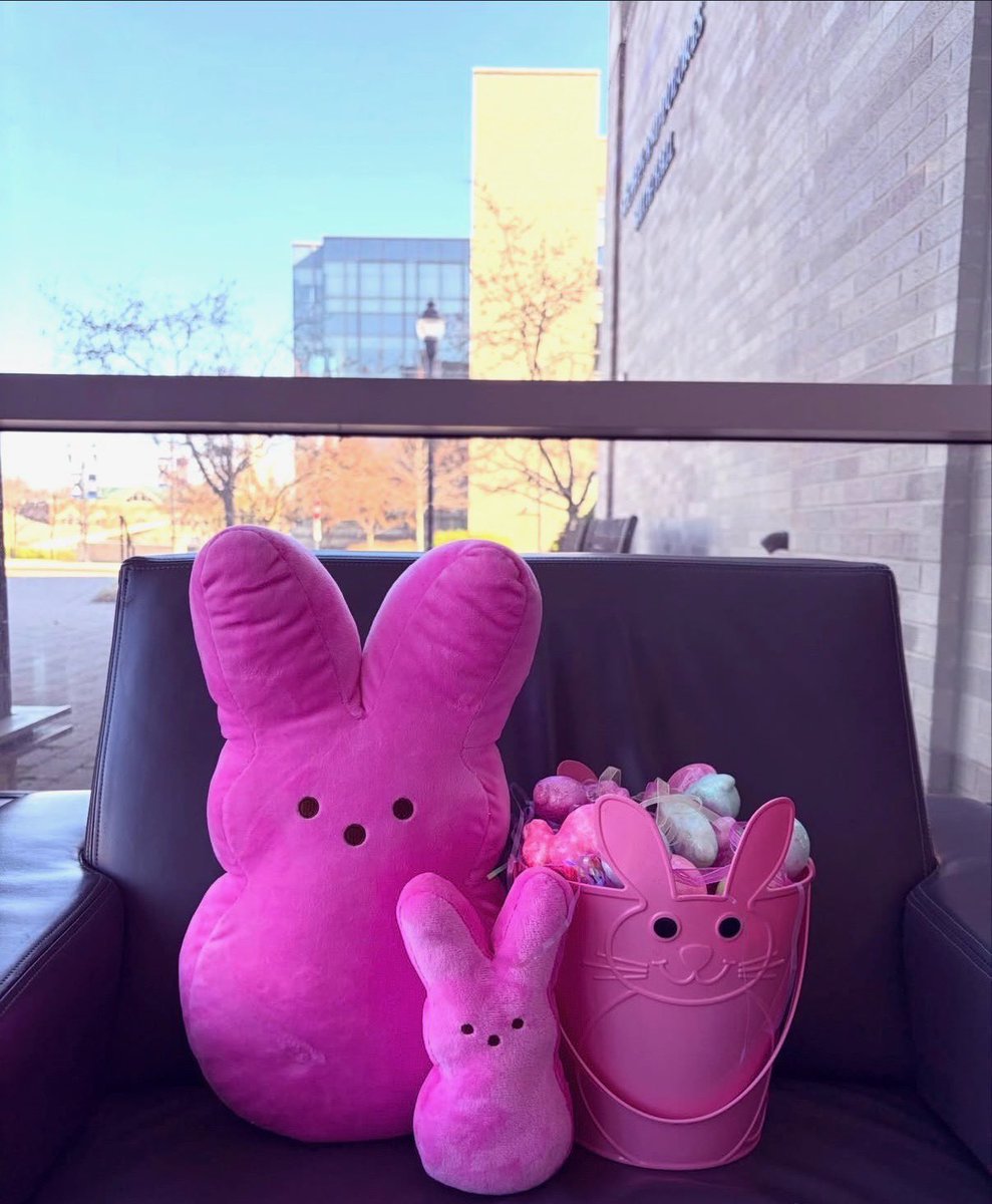xuwcb's tweet photo. Happy Easter Xavier! 🐣🪺🐰 https://t.co/UKEkmXH6Tb
