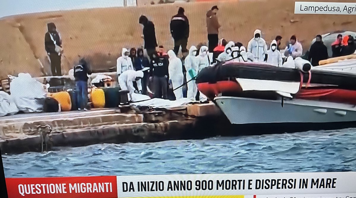 Vitalba Azzollini tweet media