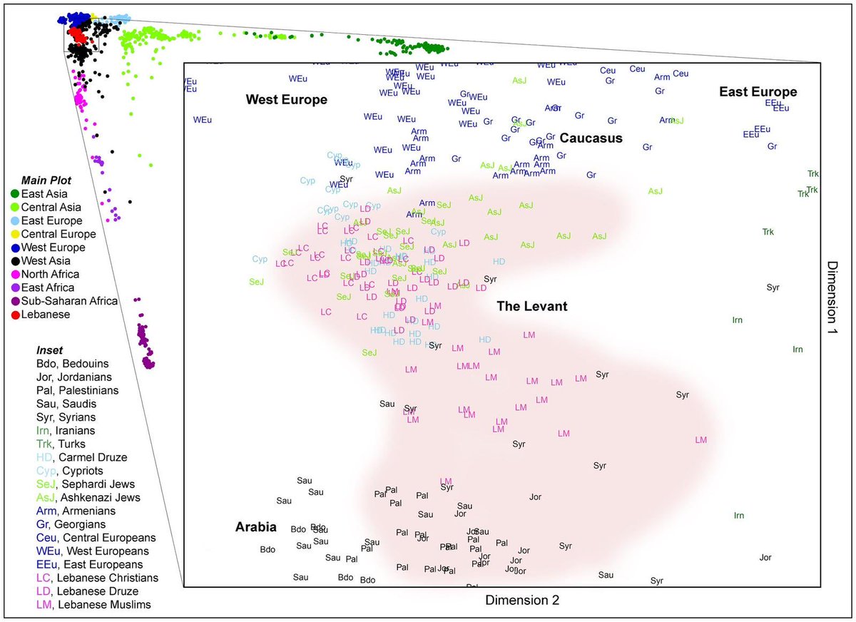 Felicia🟣🤍 tweet media