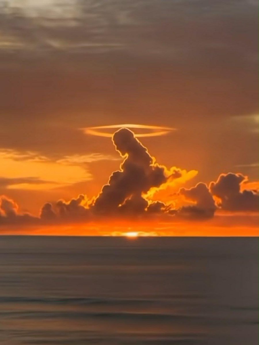 Oluwatimileyin✨🦋 tweet media