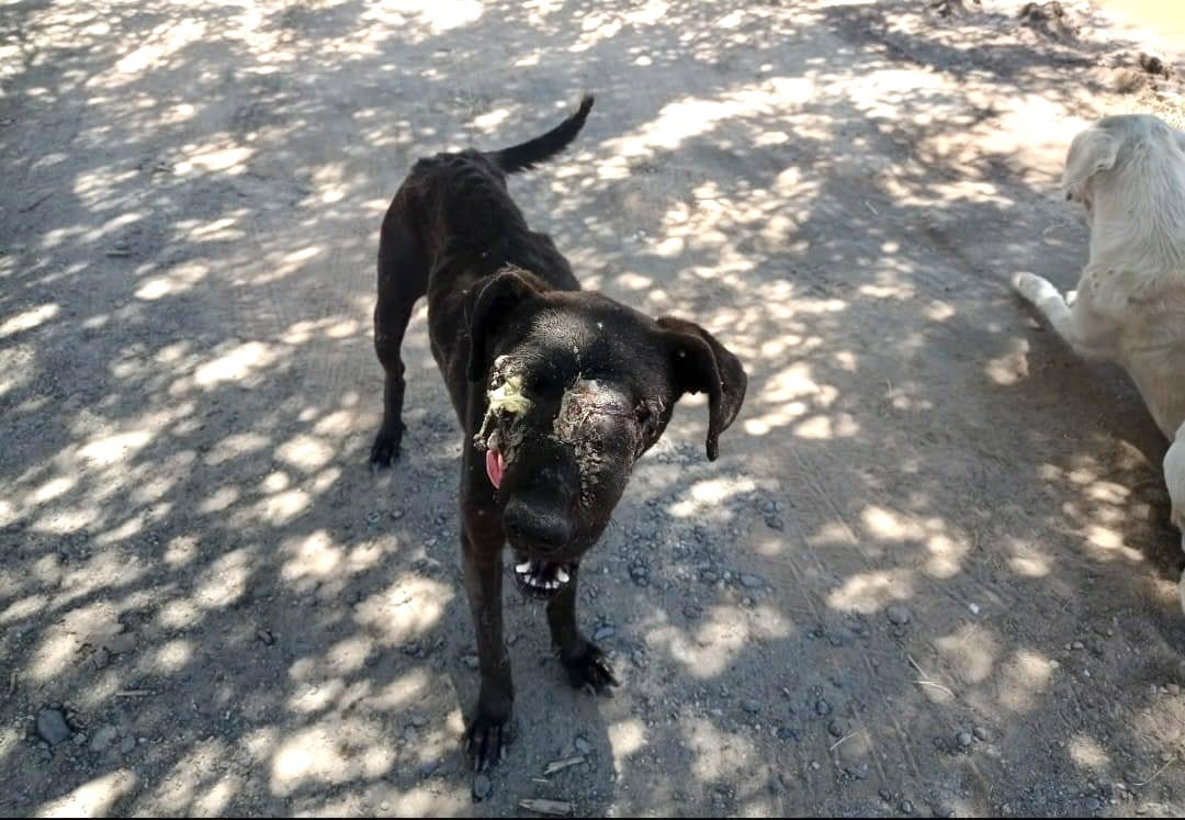 Gina..🌷 tweet media