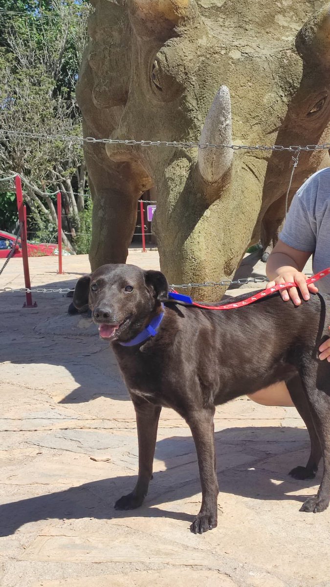 Gina..🌷 tweet media