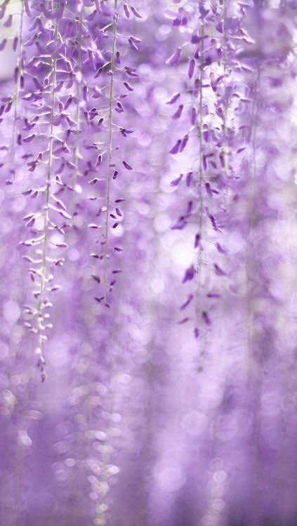 🐰ྀི🌻 ໒꒱·ﾟさきっ 𝒸𝒽ℴ ໒꒱·ﾟ 🌻🐰ྀི tweet media