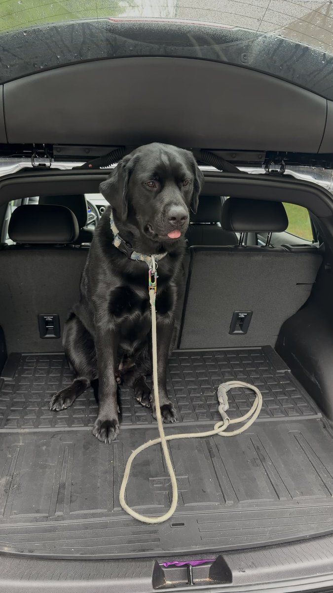 The Average EV tweet media