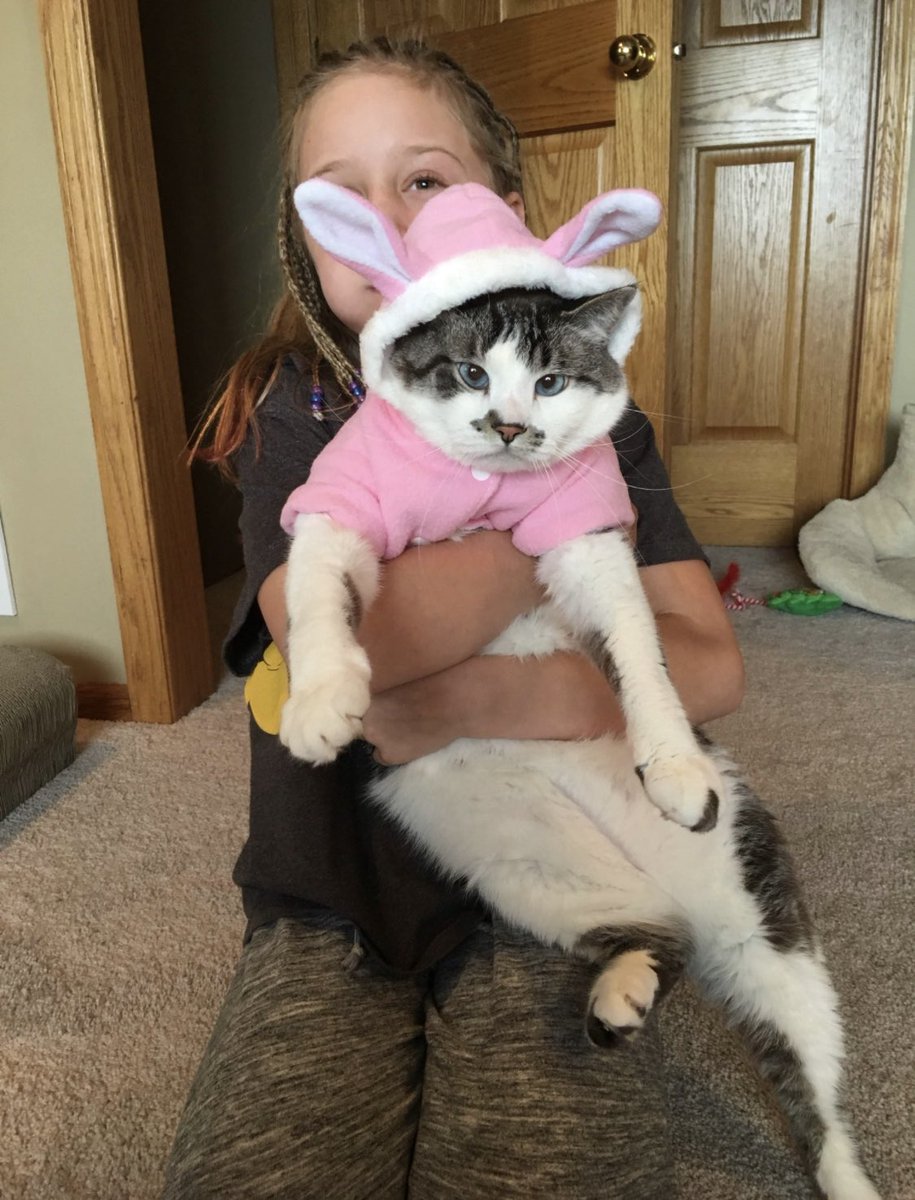 🐛🌷Dean🦋🪴 tweet media