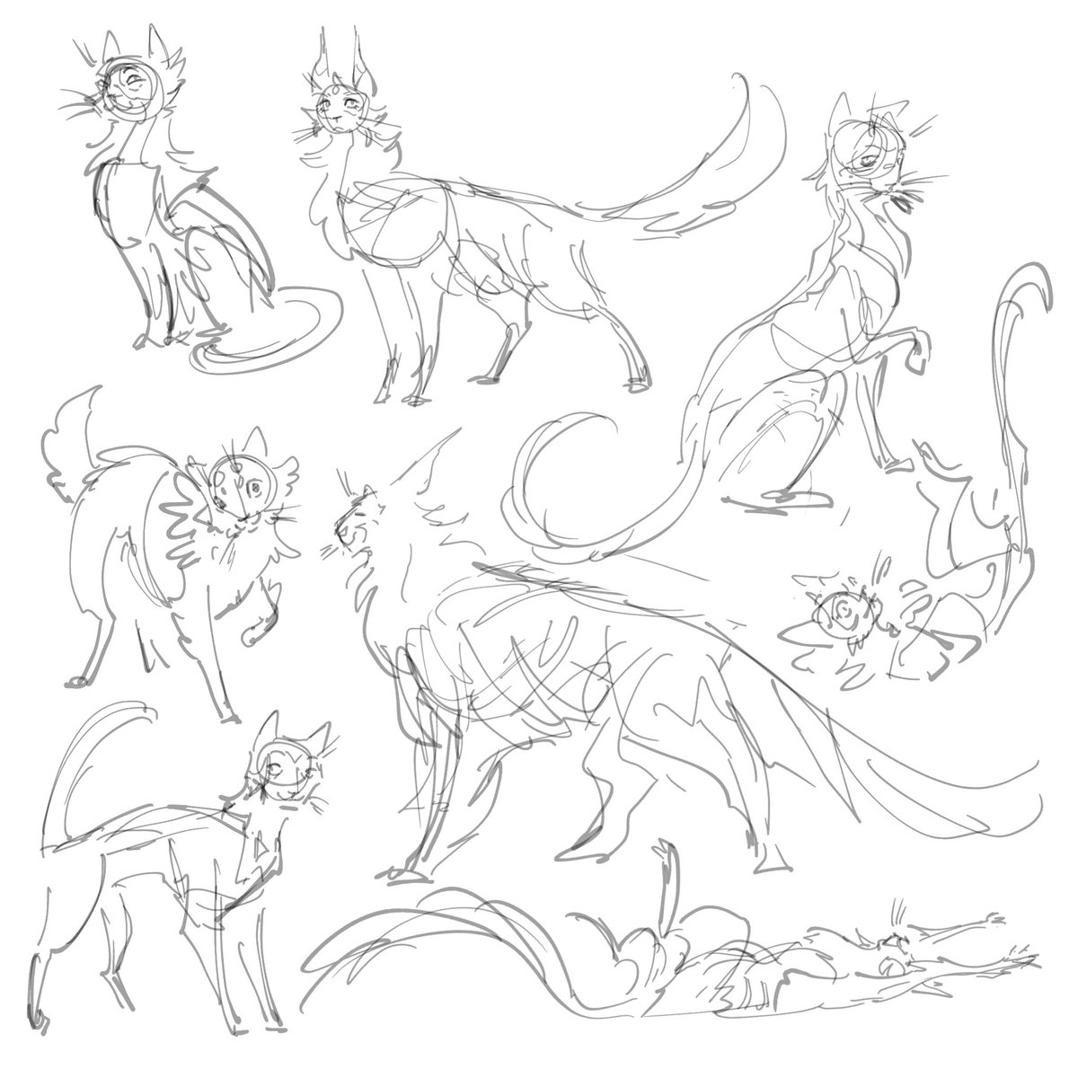 cuda barra tweet media