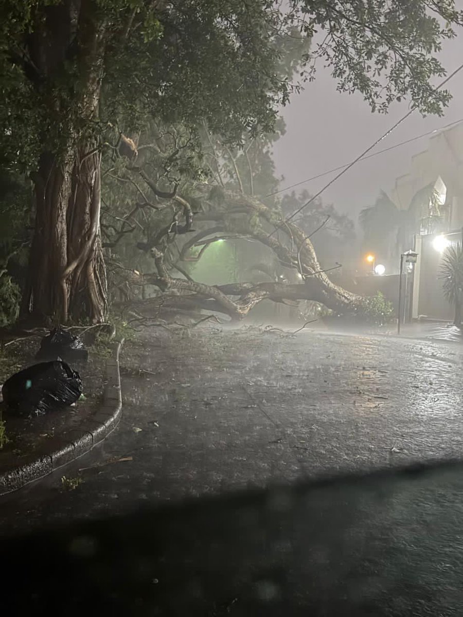 Big Willy tweet media