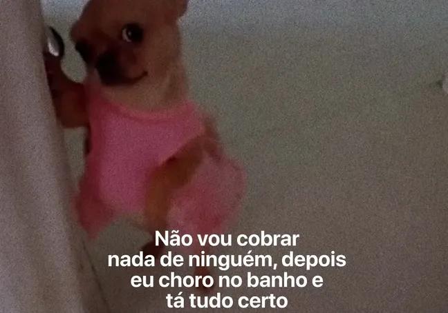 𝐌𝐚𝐫𝐢𝐚 tweet media