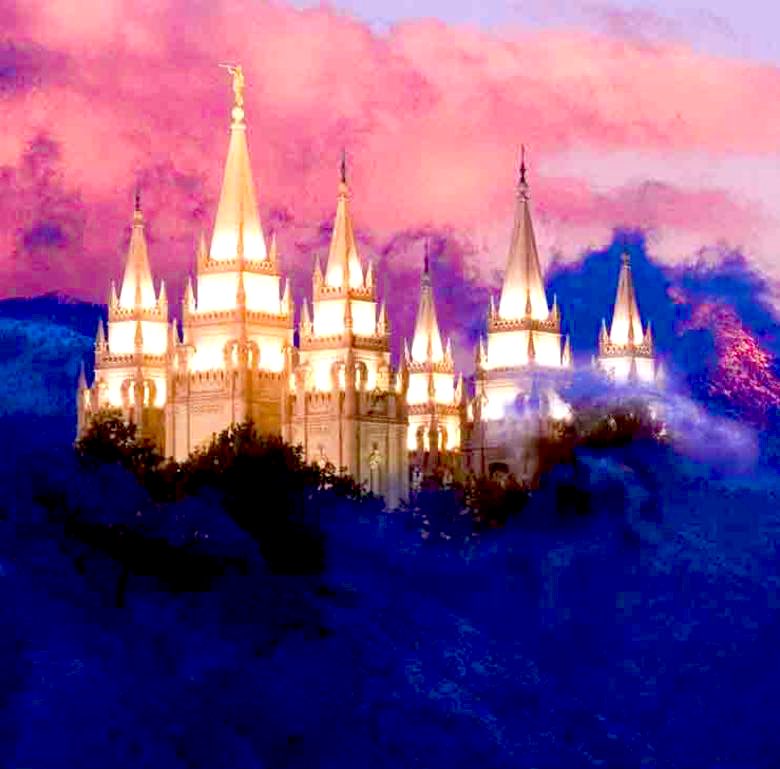 Stephen Tanner 🌎 tweet media