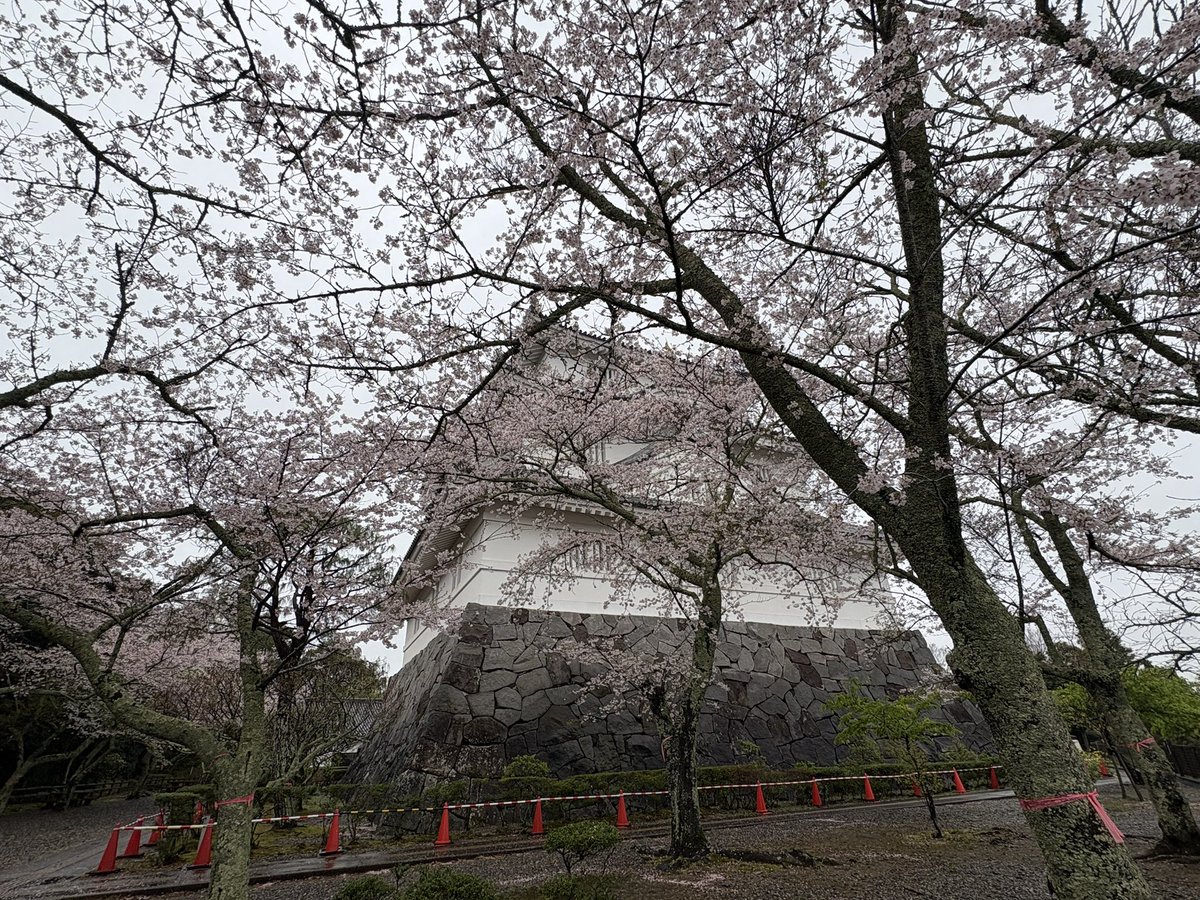 九十九里浜のケン tweet media